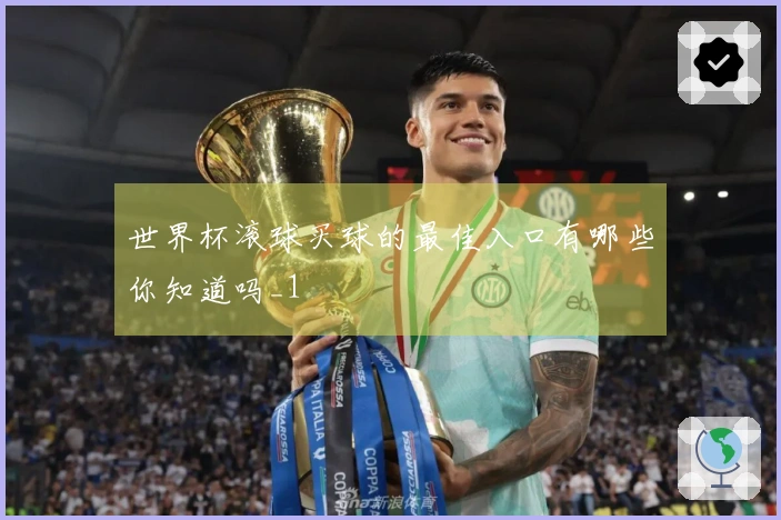 世界杯滚球买球的最佳入口有哪些你知道吗_1