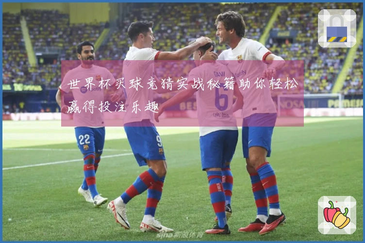世界杯买球竞猜实战秘籍助你轻松赢得投注乐趣