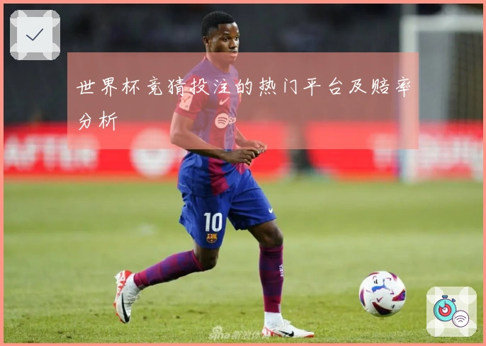 世界杯竞猜投注的热门平台及赔率分析
