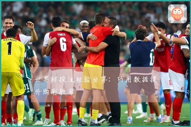 世界杯投注经验分享：巧用数据提升购彩胜率