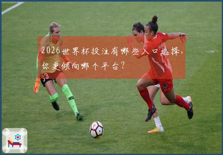 2026世界杯投注有哪些入口选择，你更倾向哪个平台？