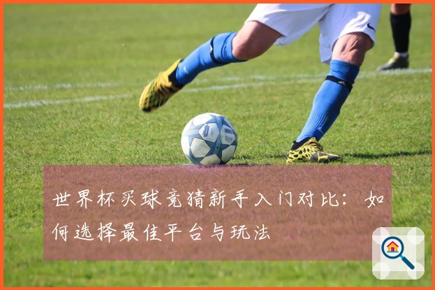 世界杯买球竞猜新手入门对比：如何选择最佳平台与玩法