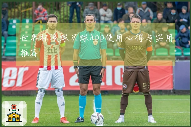 世界杯滚球买球App使用心得与实用推荐