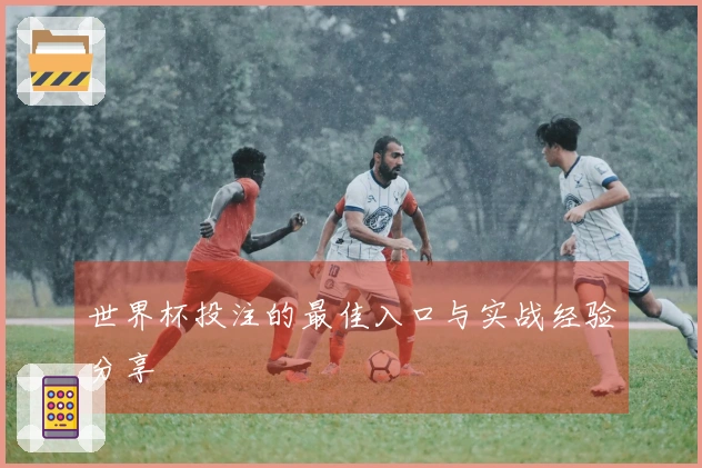 世界杯投注的最佳入口与实战经验分享