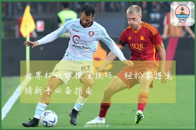世界杯让球投注技巧，轻松掌握竞猜新手必备指南