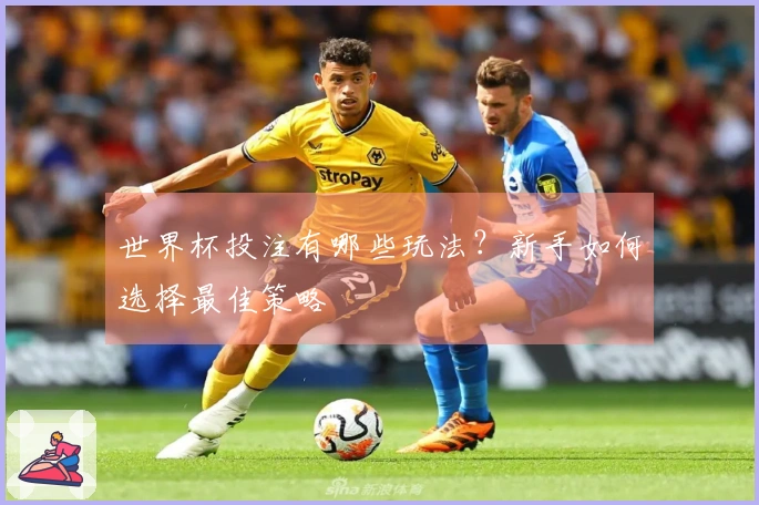 世界杯投注有哪些玩法？新手如何选择最佳策略