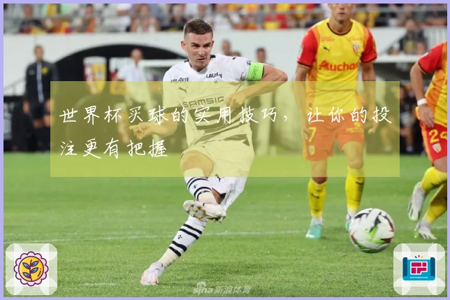 世界杯买球的实用技巧，让你的投注更有把握