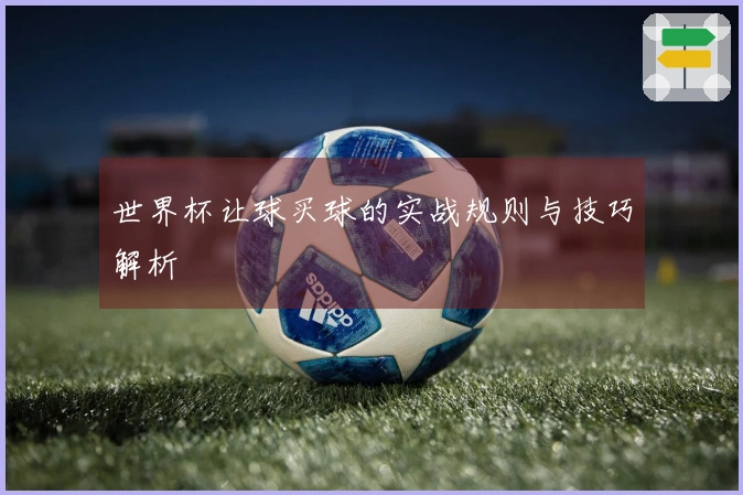 世界杯让球买球的实战规则与技巧解析