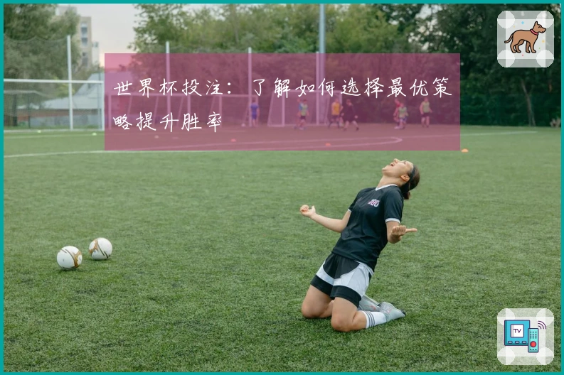 世界杯投注：了解如何选择最优策略提升胜率